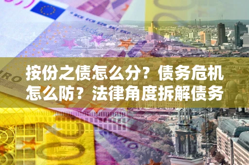 武汉按份之债怎么分？债务危机怎么防？法律角度拆解债务分配与风险自保指南