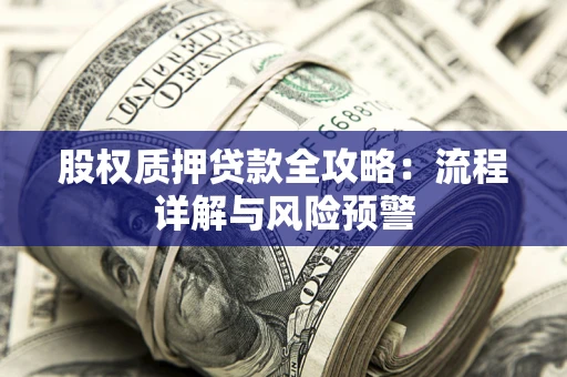 武汉股权质押贷款全攻略：流程详解与风险预警
