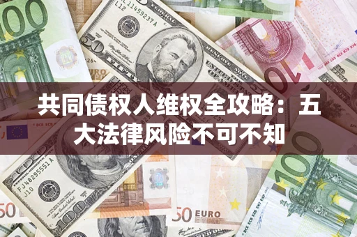 武汉共同债权人维权全攻略：五大法律风险不可不知