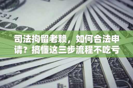 武汉司法拘留老赖，如何合法申请？搞懂这三步流程不吃亏！