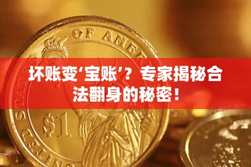 武汉坏账变‘宝账’？专家揭秘合法翻身的秘密！