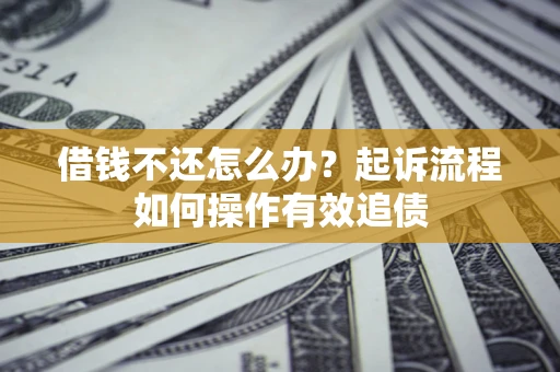 武汉借钱不还怎么办？起诉流程如何操作有效追债