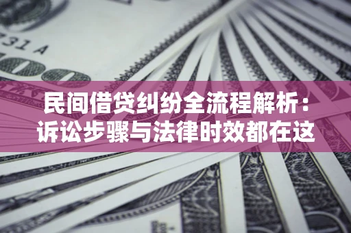 武汉民间借贷纠纷全流程解析：诉讼步骤与法律时效都在这儿了