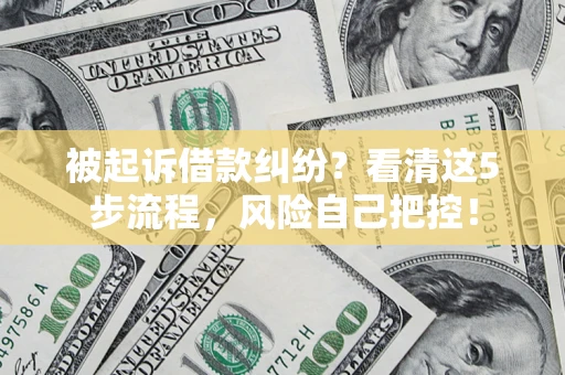 武汉被起诉借款纠纷？看清这5步流程，风险自己把控！
