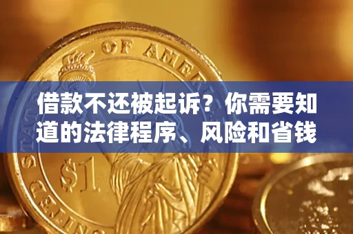 武汉借款不还被起诉？你需要知道的法律程序、风险和省钱技巧