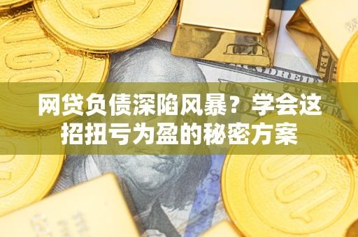 武汉网贷负债深陷风暴？学会这招扭亏为盈的秘密方案